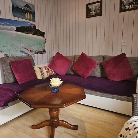 Landhauswohnung Am Thueringer Meer - Fuehlen Wie Zuhause Remptendorf 외부 사진