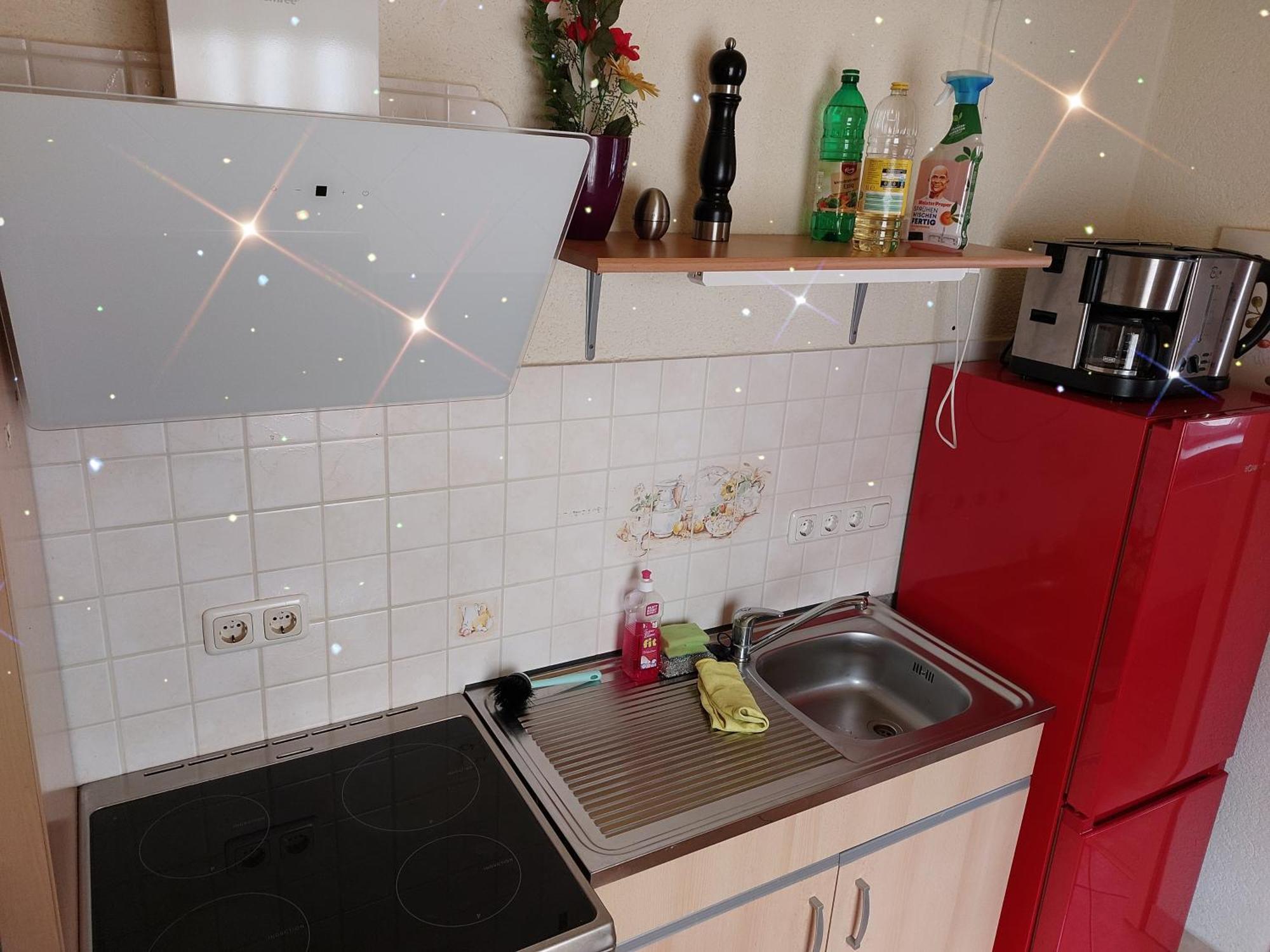 Landhauswohnung Am Thueringer Meer - Fuehlen Wie Zuhause Remptendorf 외부 사진